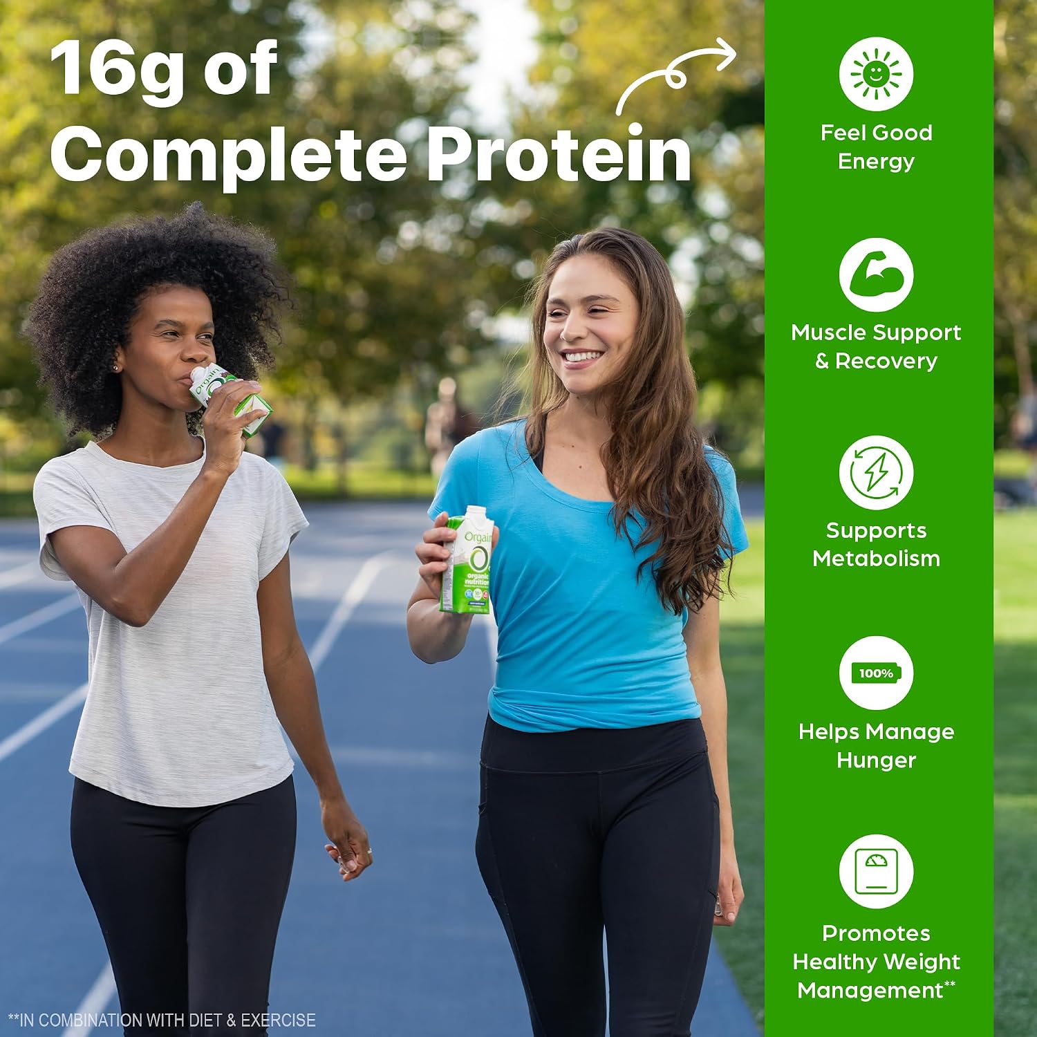 ORGAIN Organic Creamy Chocolate Fudge Shake 12 Pack, 11 FZ | Ready to drink grass-fed dairy protein, meal replacement, 20 vitamins & minerals, fruits & vegetables, non-GMO, gluten-free
